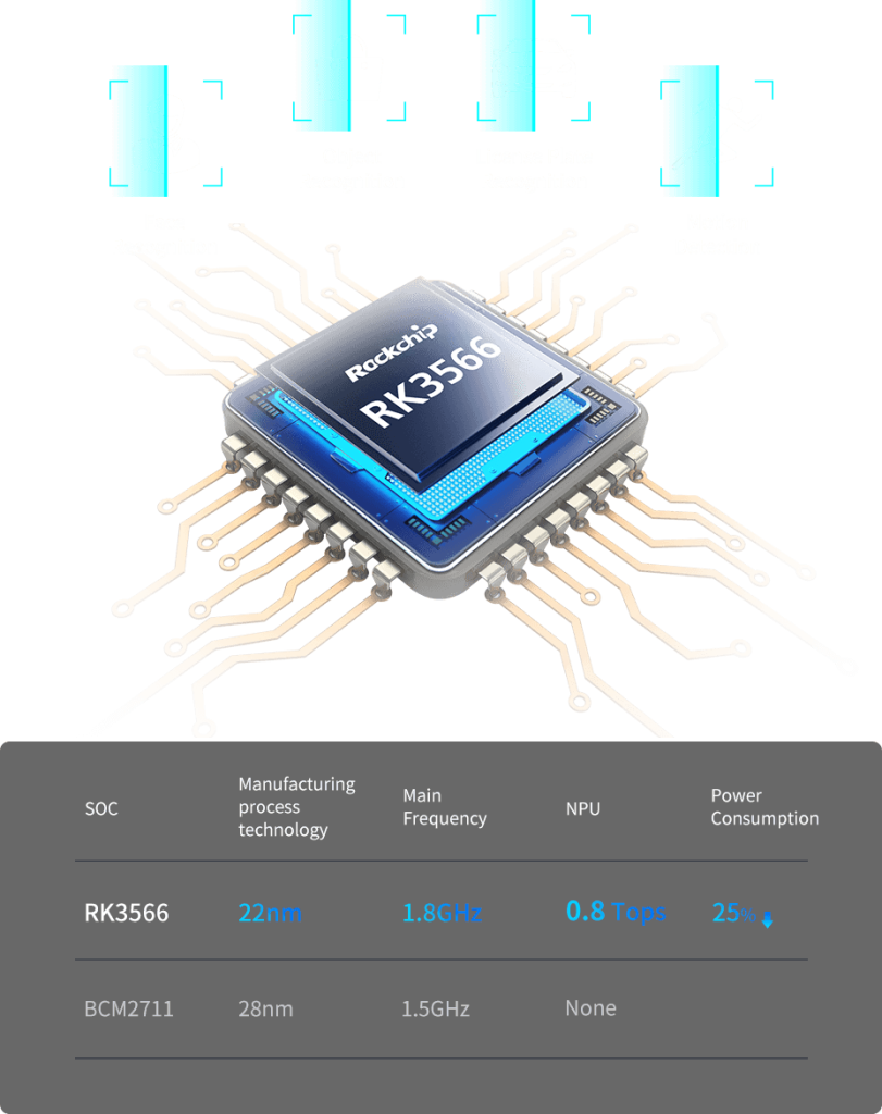 ハクビシン 05-0100b_R_600x.jpg?v=1750423073